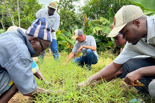 Teammitglieder und Bauern bei der Pflege junger Pflanzen in einer Baumschule in Senegal – Vorbereitung für die Wiederaufforstung.