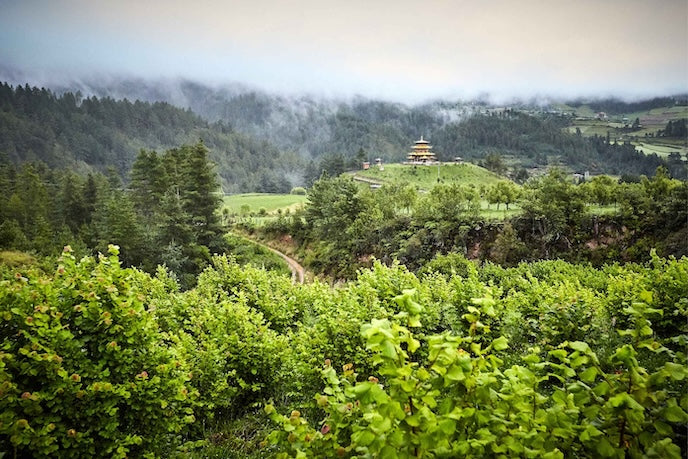 Landschaft von Buthan mit einem Tempel im Hintergrund.