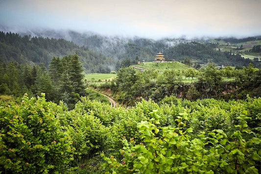 Landschaft von Buthan mit einem Tempel im Hintergrund.