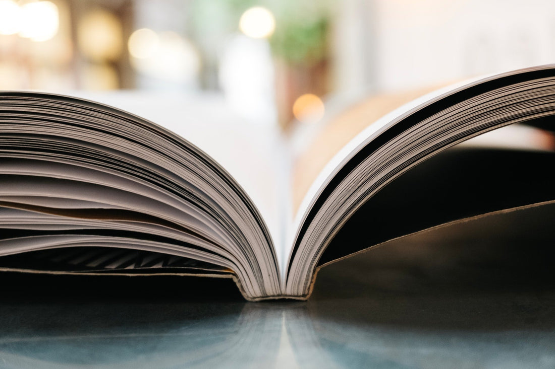 Die besten Bücher zum Thema Nachhaltigkeit - NIKIN EU