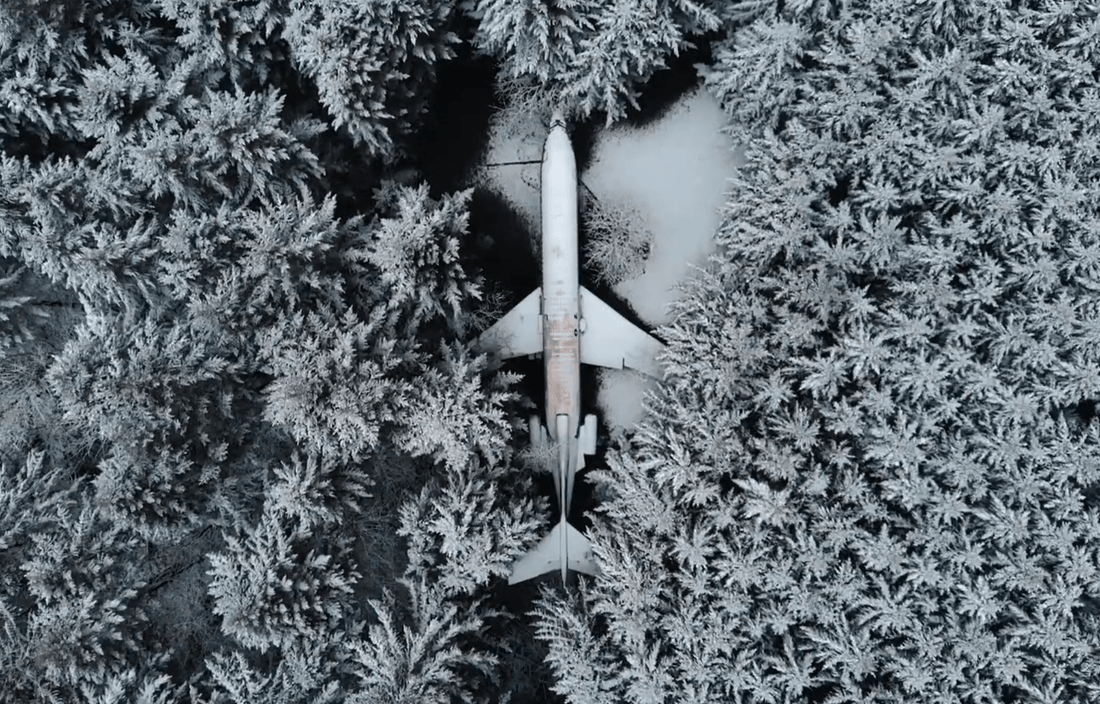 Die faszinierende Geschichte des alten Mannes im Flugzeug - NIKIN EU