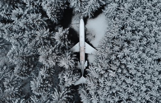 Die faszinierende Geschichte des alten Mannes im Flugzeug - NIKIN EU