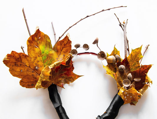 Halloween-Kostüm: Zero Waste, günstig und sehr bäumig - NIKIN EU
