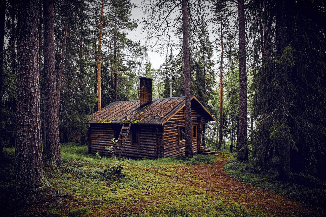 Menschen, die im Wald leben – moderne Einsiedler und Aussteiger - NIKIN EU