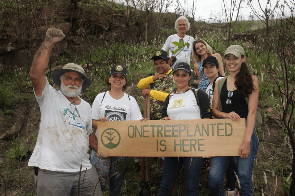 OneTreePlanted – lass uns Bäume pflanzen! - NIKIN EU