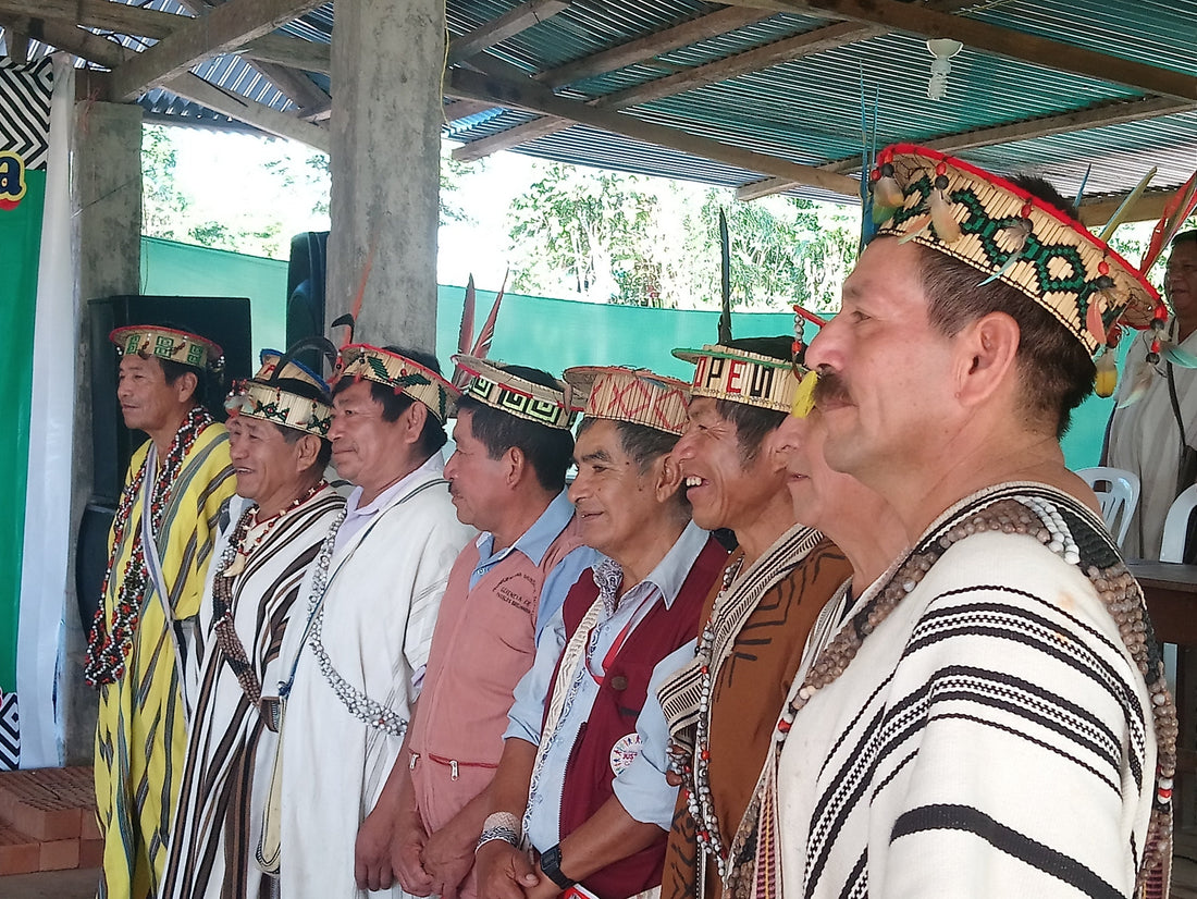 Unser Baumpflanzprojekt in Peru - NIKIN EU