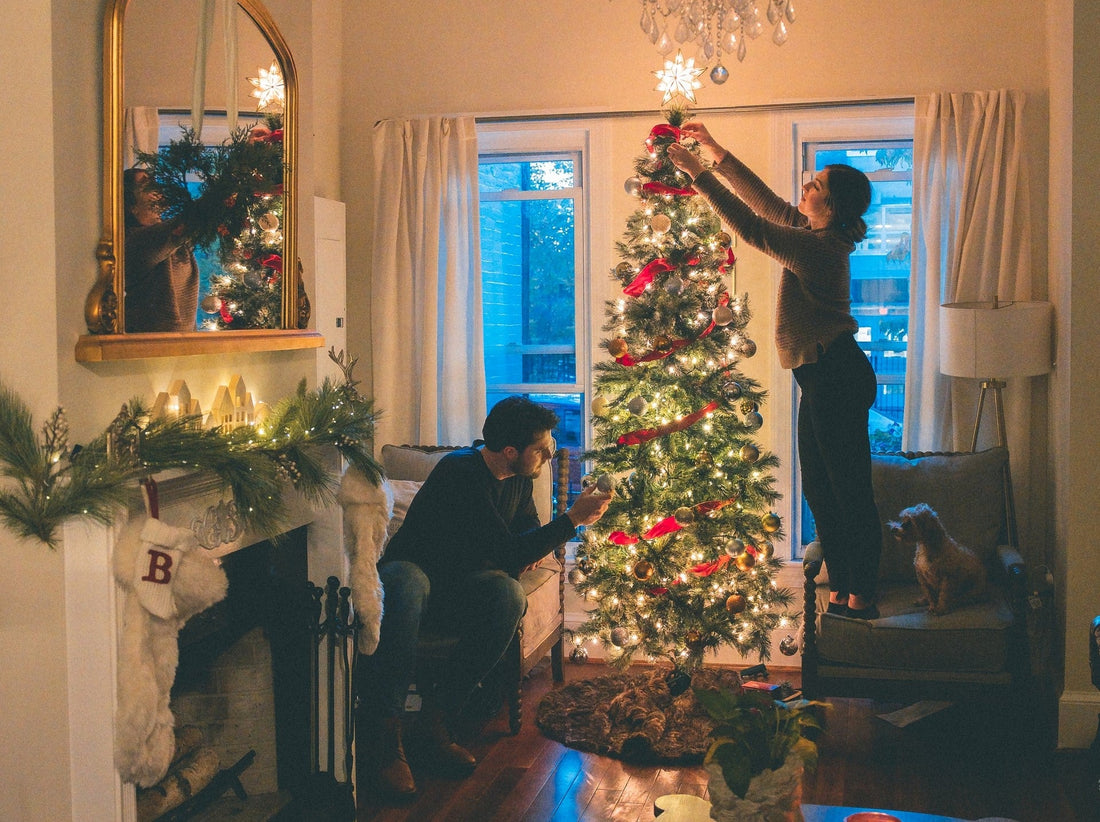 Weihnachten 2022: diesmal mit nachhaltigem Christbaum? - NIKIN EU